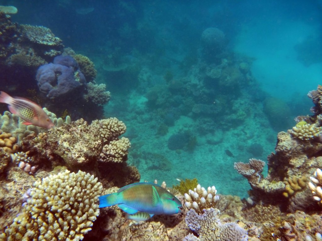 p1000562.jpg