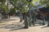 dsc05569_small.jpg