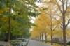 dsc05859_small.jpg