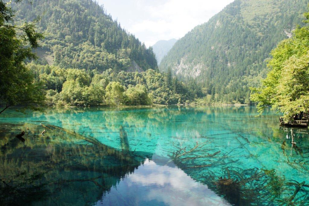 jiuzhaigoufiveflowerlake.jpg