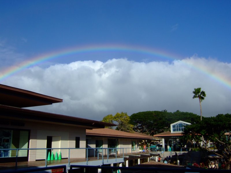overtherainbowwhalersvillage.jpg