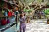 d8c_3193_small.jpg