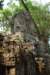 dsc00023_small.jpg