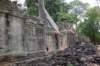 dsc00132_small.jpg
