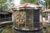 dsc00294_small.jpg