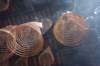 dsc00753_small.jpg