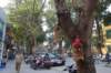 dsc09229_small.jpg