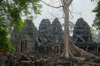 dsc09848_small.jpg