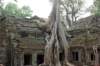 dsc09882_small.jpg