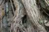 dsc09927_small.jpg