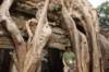 dsc09938_small.jpg