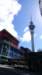 aucklandlastday_small.jpg