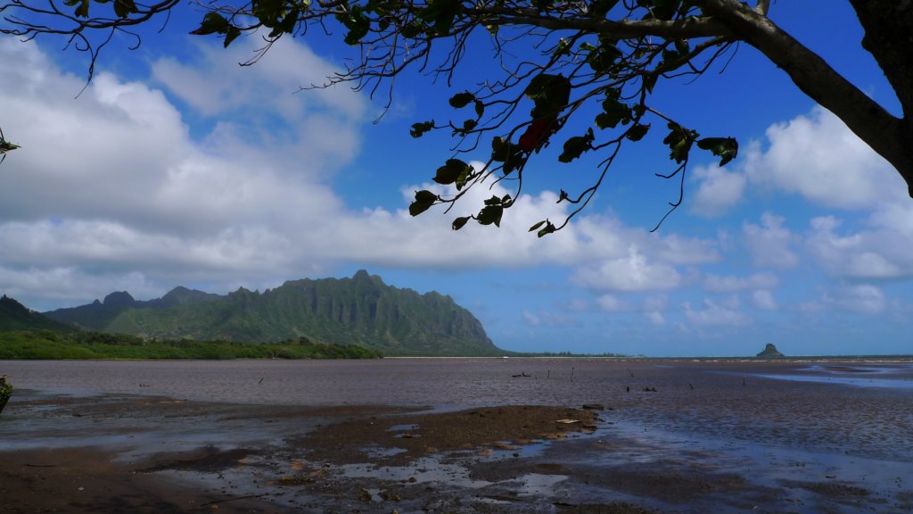 onwindwardsideofoahu.jpg