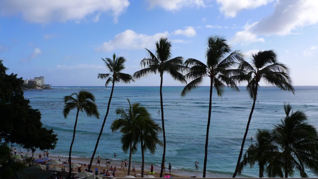 waikiki.jpg