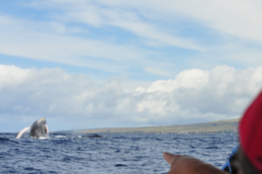 whalebreachcloserfromraft.jpg