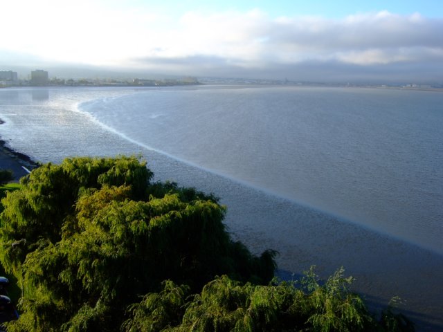 sanfranciscobaylastnight.jpg