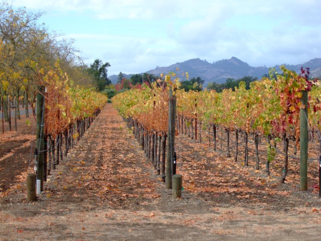 sterlingvineyards.jpg