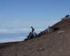 dsc01356_3_small.jpg