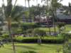 dsc01498_small.jpg