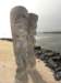 dsc01499_small.jpg