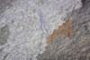 dsc01906_small.jpg