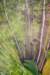 dsc02111_small.jpg