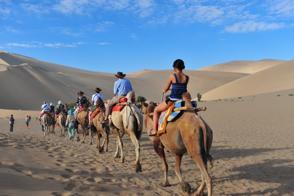 camelride.jpg