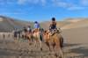 camelride_small.jpg