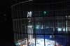 circusworldbeforeushersshowedsignsforbiddingphotosduringshow_small.jpg