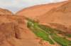 d3f_4207_small.jpg