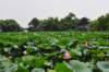 d3f_5679_small.jpg