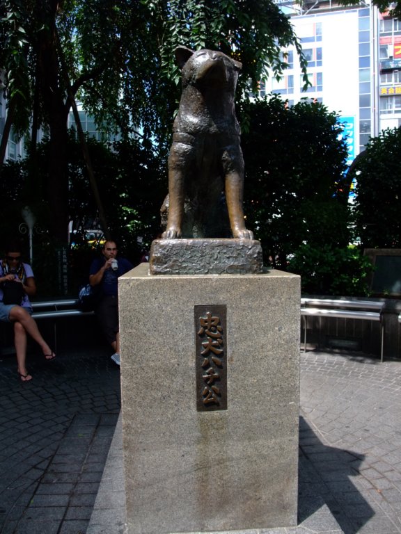 hachikofamousdog.jpg
