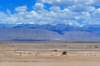 hrbusridetodunhuangacrossthedesert_small.jpg