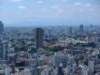 viewfromtokyotowermtfujiinthedistance_small.jpg