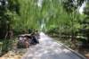 beijingsidewalk_small.jpg
