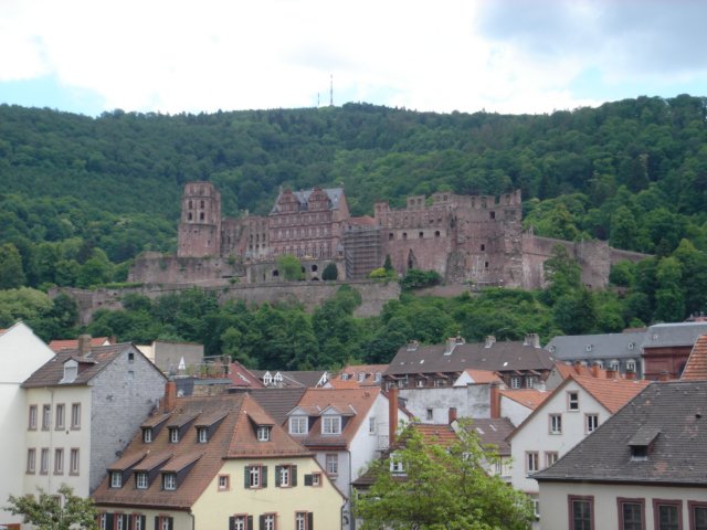 Photograph
