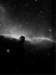 Photo Number 14