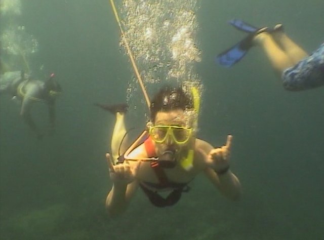 Photograph