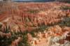 brycecanyonnationalparkutahlandofhoodoos_small.jpg