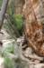 d2x_0662_small.jpg