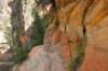 d2x_0671_small.jpg