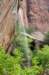 d2x_0727_small.jpg