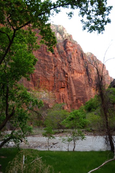 zioncanyon.jpg
