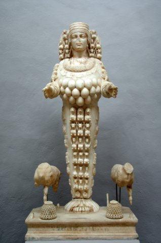 d2x_8550.jpg
