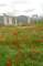 d2x_8594_small.jpg
