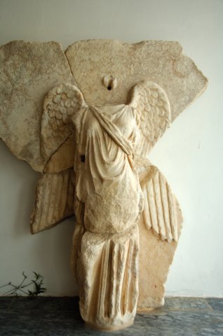 d2x_8646.jpg