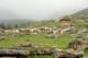 d2x_8648_small.jpg