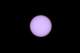d2x_9346_small.jpg