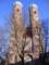 p1010323_small.jpg