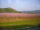 p1010348_small.jpg